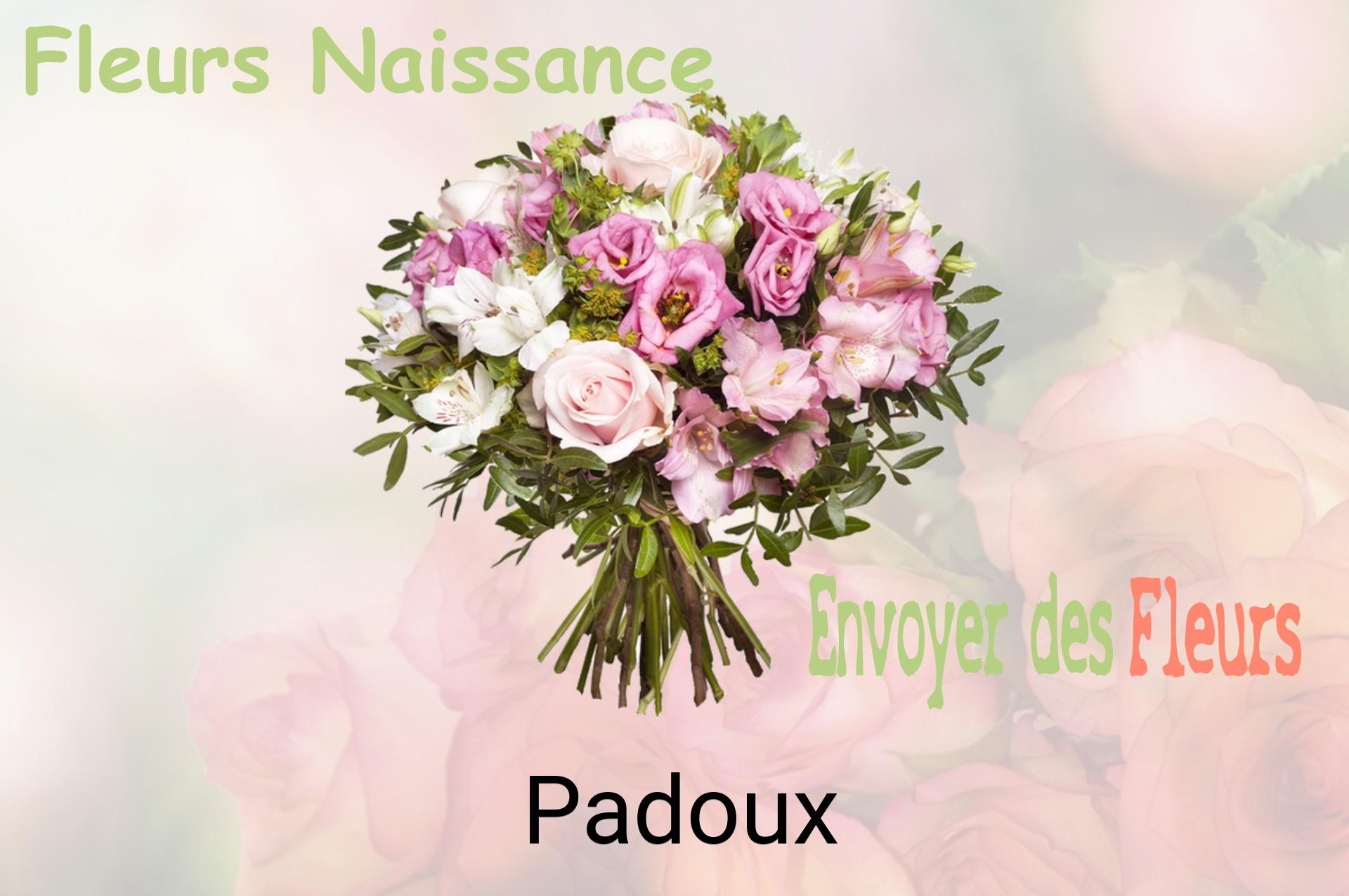 Bouquet de fleurs de naissance livré à Padoux